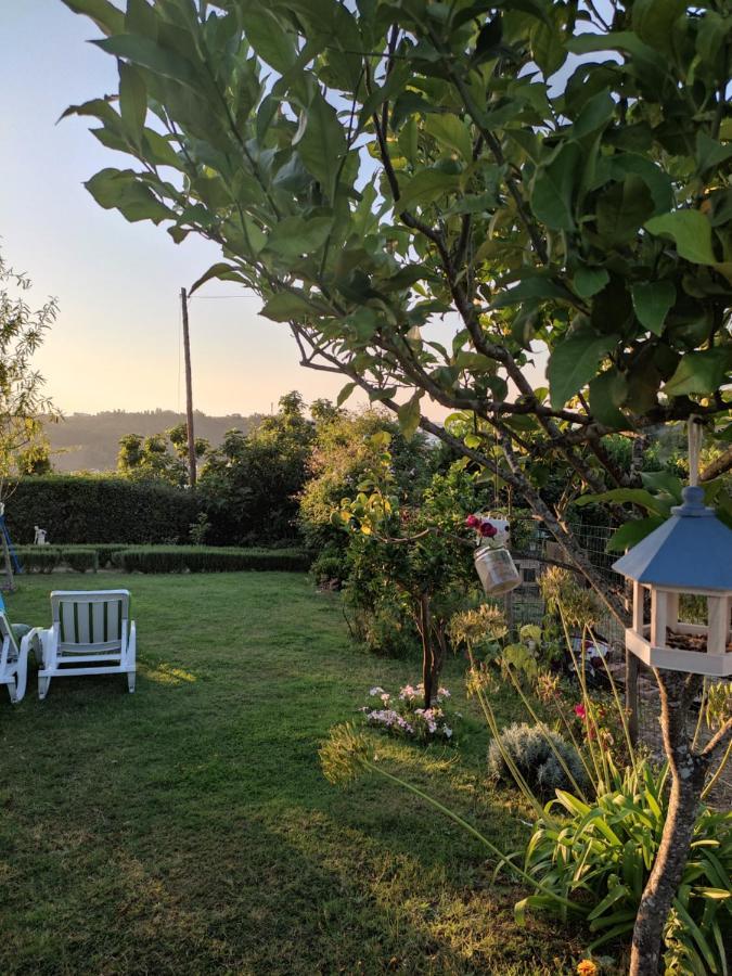 باتالها Nature Et Al House - Casa Para Uso Exclusivo E Jardim - Little Farm المظهر الخارجي الصورة